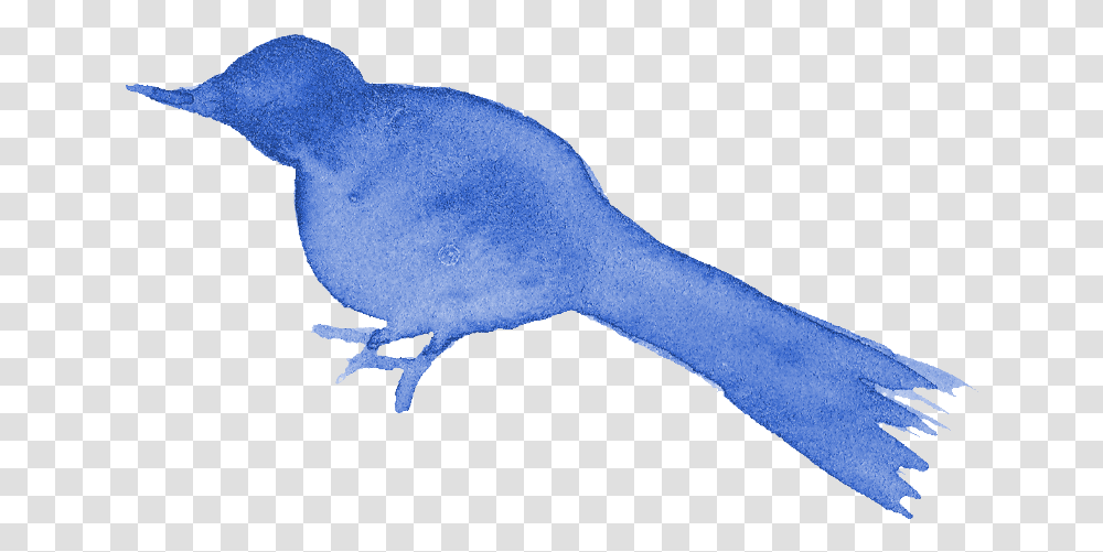 Watercolor Bird Silhouette Blue Bird Drawing, Animal, Cutlery, Spoon, Rodent Transparent Png