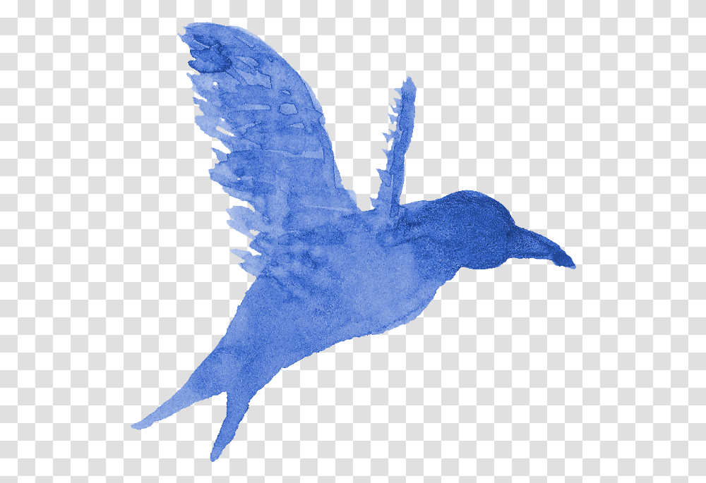 Watercolor Bird Silhouette Onlygfxcom Bird Paint, Flying, Animal, Seagull, Screen Transparent Png