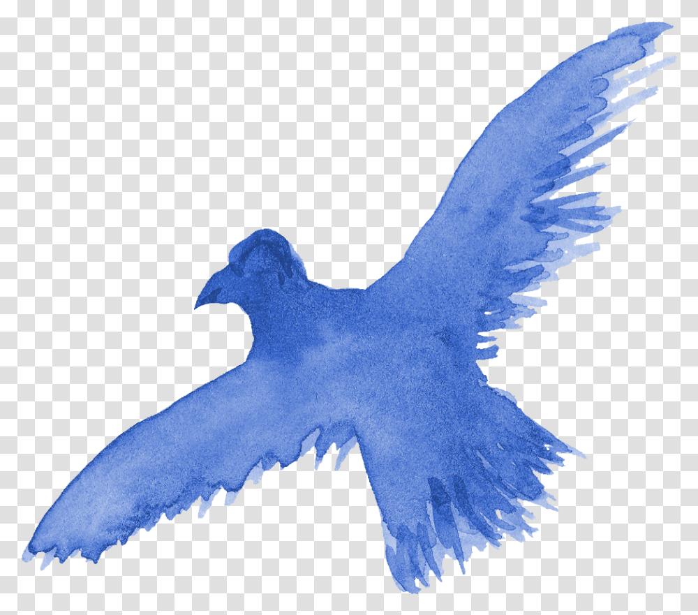 Watercolor Bird Silhouette Onlygfxcom Flying Bird Watercolor Background, Animal, Eagle, Vulture, Seagull Transparent Png