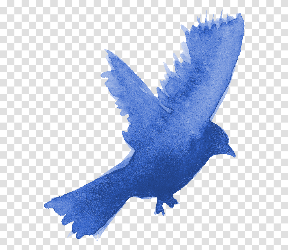 Watercolor Bird Silhouette Onlygfxcom Watercolor Blue Bird, Animal, Pigeon, Jay, Person Transparent Png