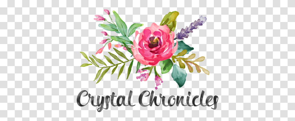 Watercolor Blog Header Background Flower Watercolor, Plant, Rose, Flower Arrangement, Petal Transparent Png