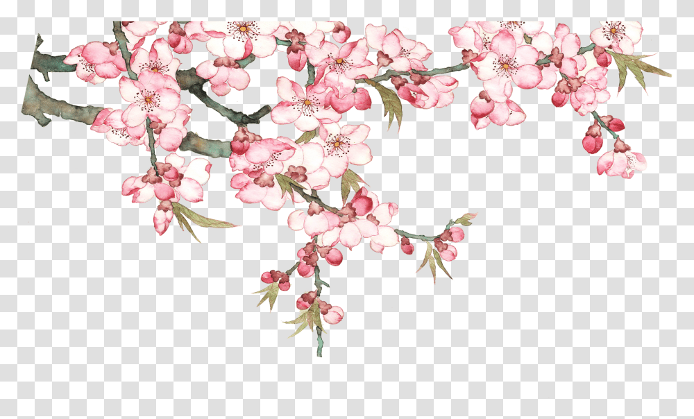 Watercolor Blossom Tree Pixel P, Plant, Cherry Blossom, Flower, Petal Transparent Png