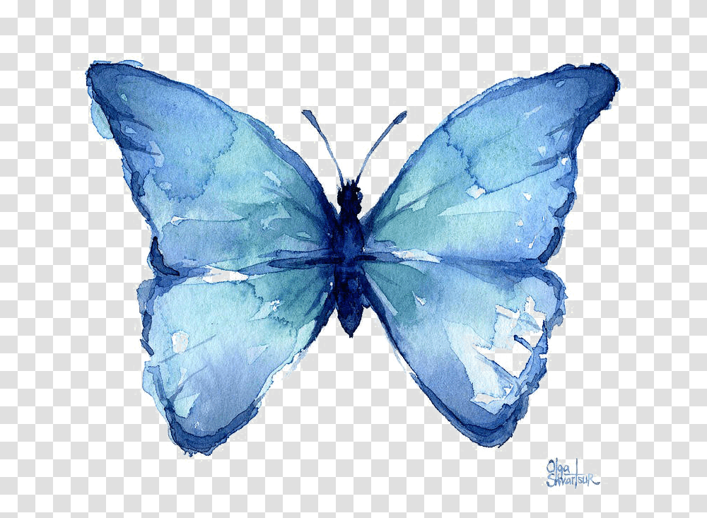Watercolor Blue Butterfly, Accessories, Accessory, Jewelry, Pattern Transparent Png