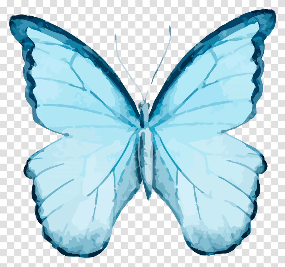 Watercolor Blue Butterfly, Insect, Invertebrate, Animal, Diamond Transparent Png