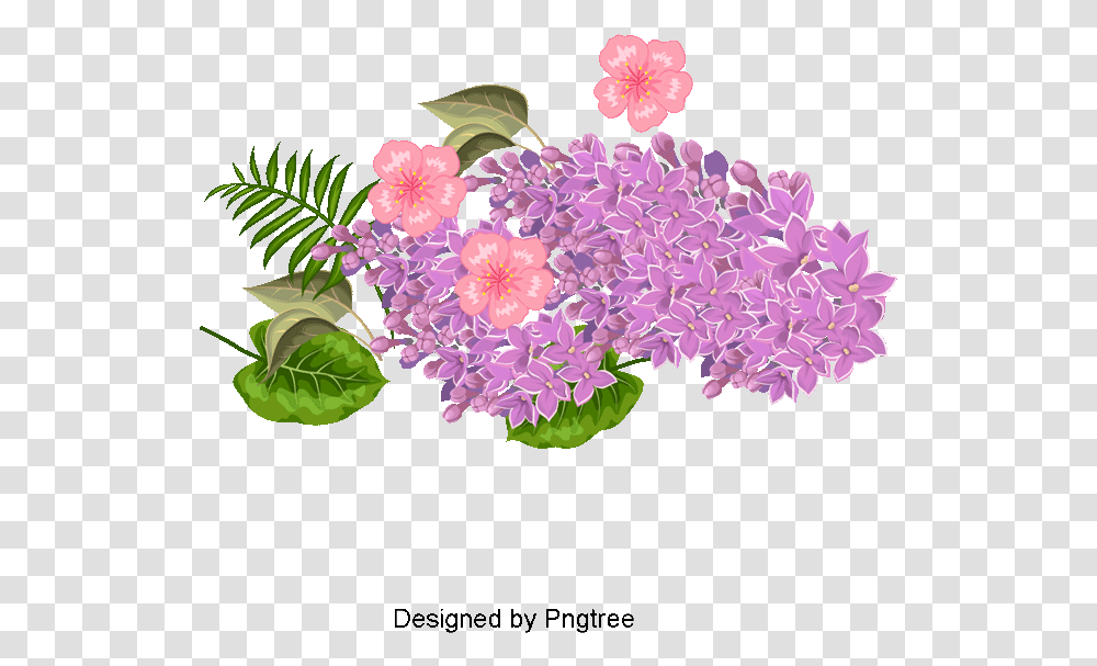 Watercolor Bouquet Lilac, Plant, Flower, Blossom, Geranium Transparent Png