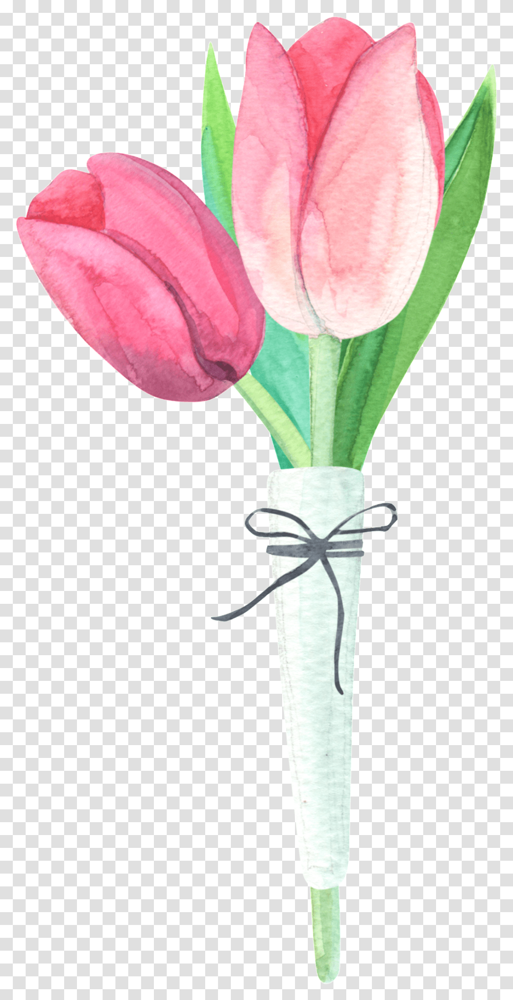 Watercolor Bouquet Material Tulip, Plant, Rose, Flower, Blossom Transparent Png