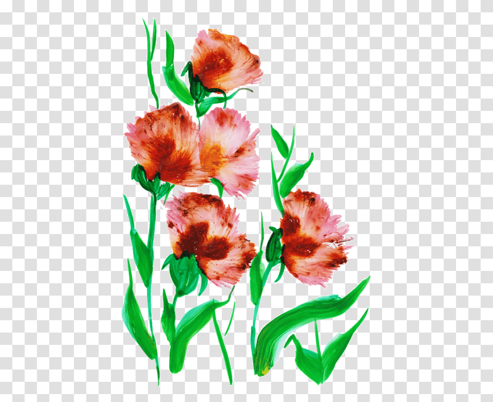 Watercolor Bouquet, Plant, Flower, Blossom, Carnation Transparent Png