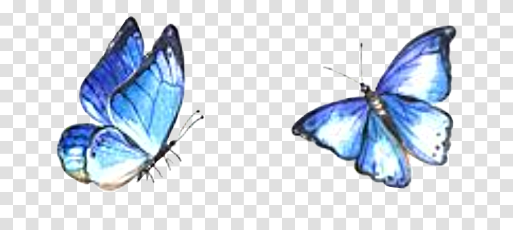 Watercolor Butterflies Sticker Watercolor Butterflies Blue, Animal, Invertebrate, Insect, Person Transparent Png