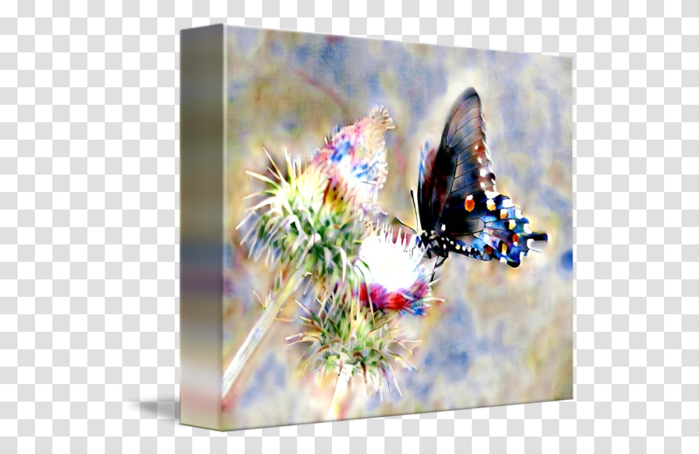 Watercolor Butterfly By Philosophizer X Papilio, Art, Plant, Graphics, Floral Design Transparent Png