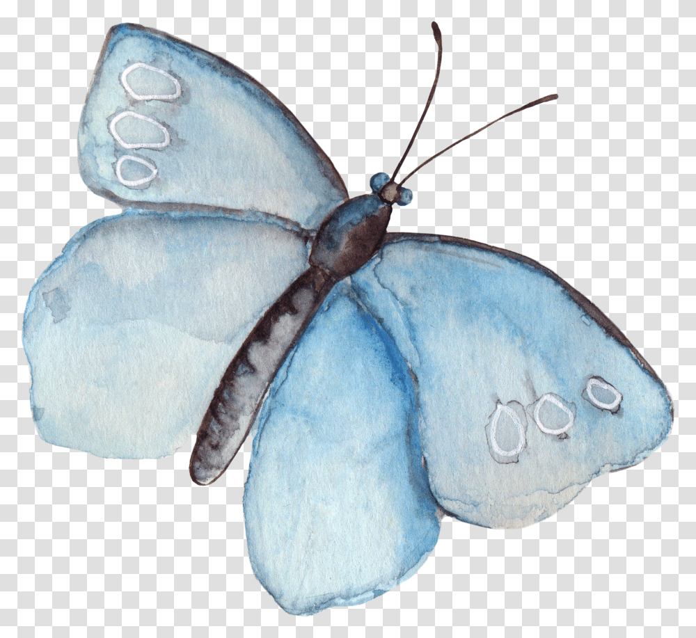 Watercolor Butterfly Clipart Watercolor Butterfly Tumblr Transparent Png