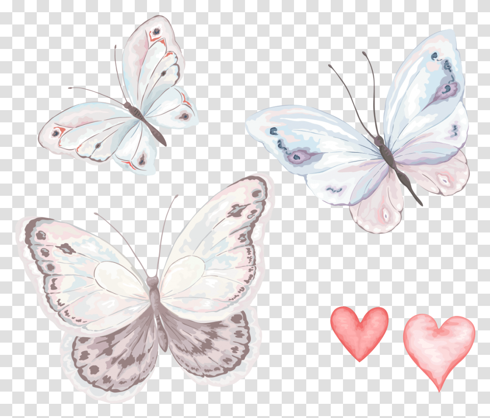 Бабочки акварель на белом фоне