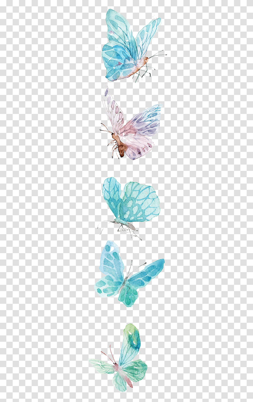 Watercolor Butterfly Icon, Insect, Invertebrate, Animal, Moth Transparent Png