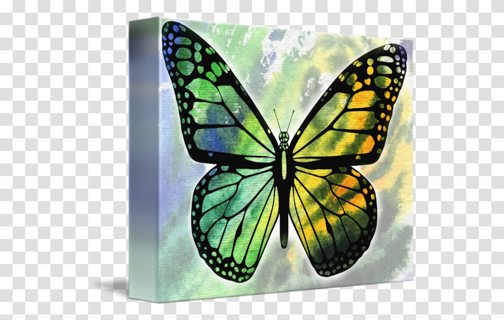 Watercolor Butterfly In Green And Yellow By Irina Sztukowski Butterfly Painting Green, Art, Stained Glass, Animal, Insect Transparent Png