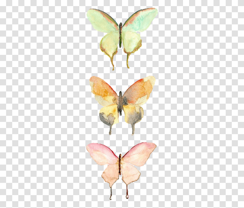 Watercolor Butterfly, Insect, Invertebrate, Animal, Moth Transparent Png
