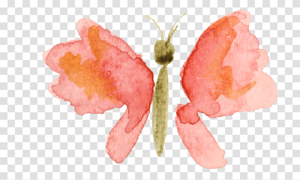 Watercolor Butterfly Painting, Petal, Flower, Plant, Leaf Transparent Png