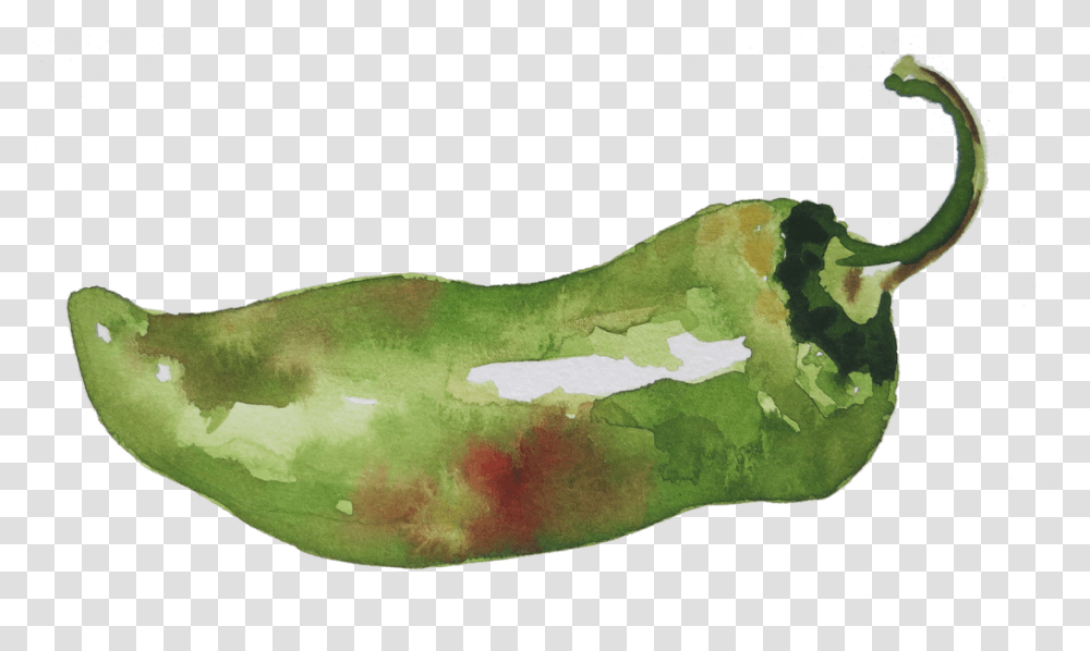 Watercolor By Charmaine Martinez Habanero Chili, Land, Outdoors, Nature, Plant Transparent Png