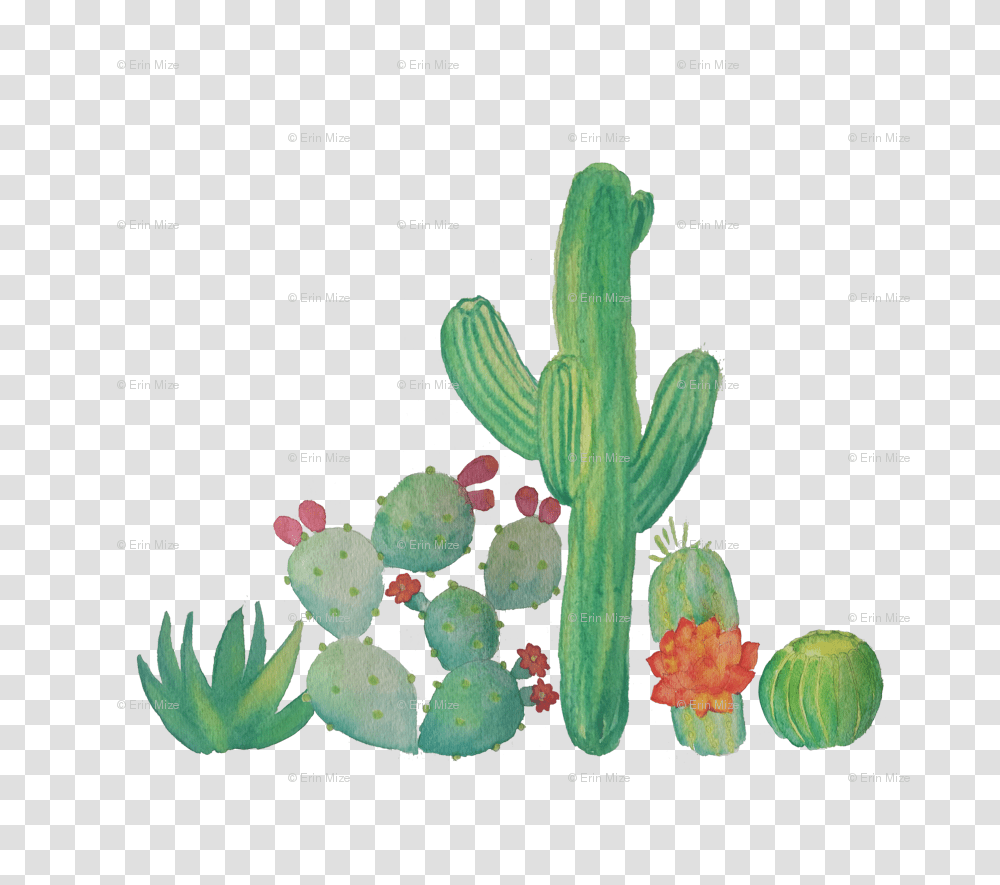 Watercolor Cacti Wallpaper, Plant, Cactus Transparent Png