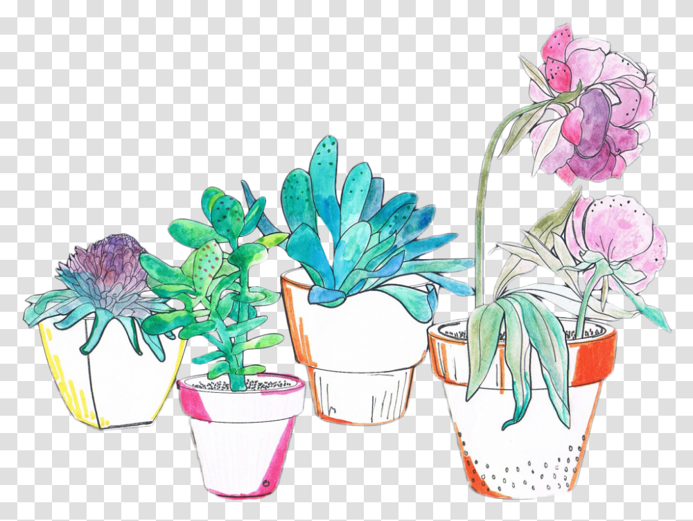 Watercolor Cactus Aesthetic Plants, Flower, Blossom, Pot, Aloe Transparent Png