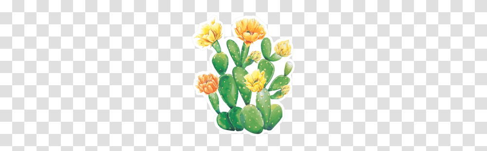 Watercolor Cactus And Yellow Flowers Sticker, Plant Transparent Png