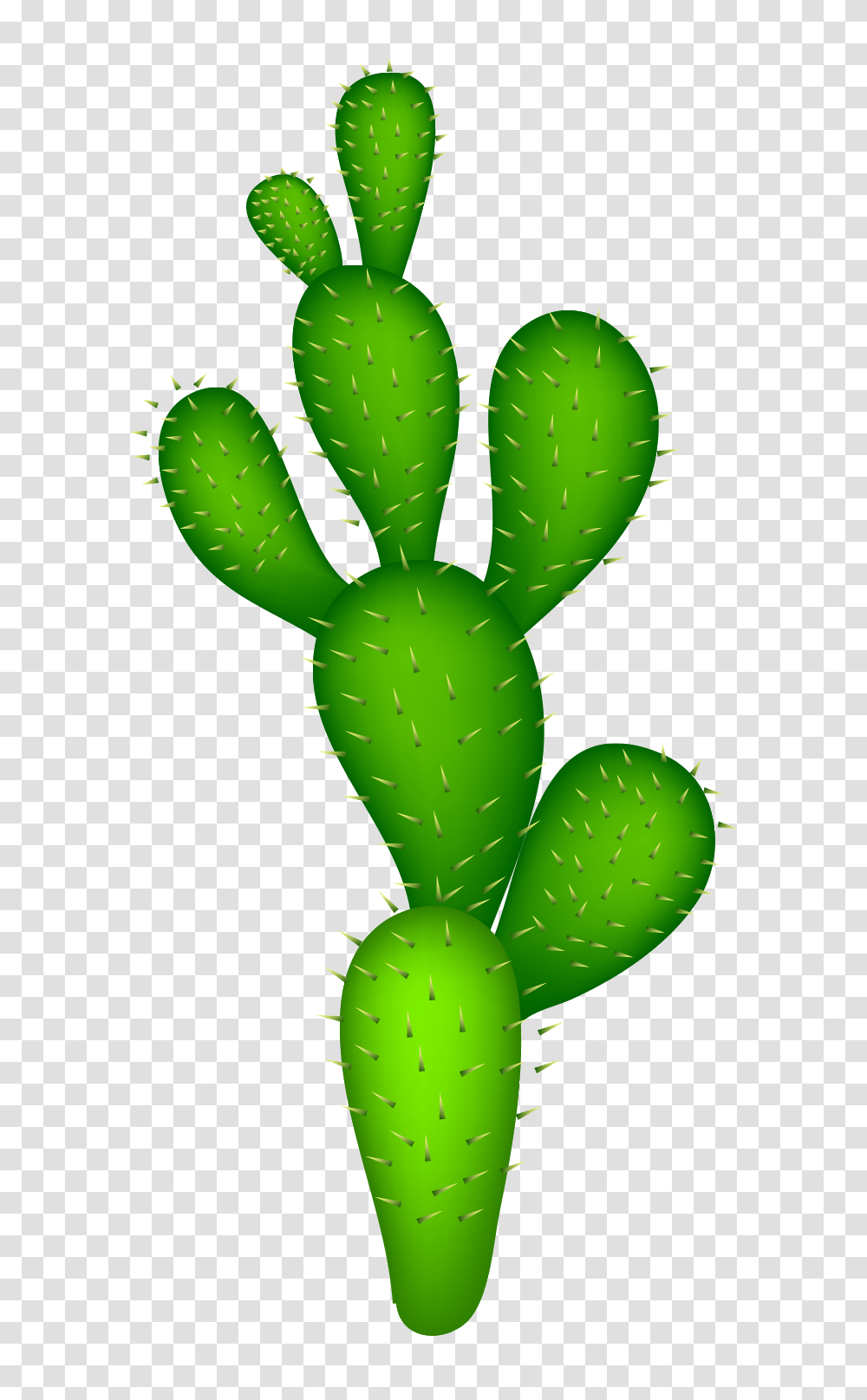 Watercolor Cactus Cactus Illustrator Cactus Material Desert, Plant Transparent Png