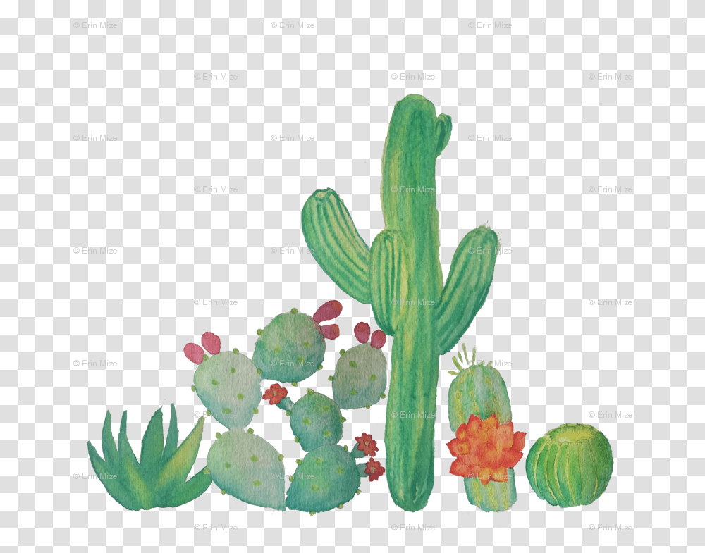 Watercolor Cactus Clip Art, Plant Transparent Png