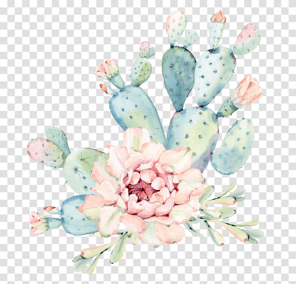 Watercolor Cactus Flower, Plant, Petal, Pollen Transparent Png