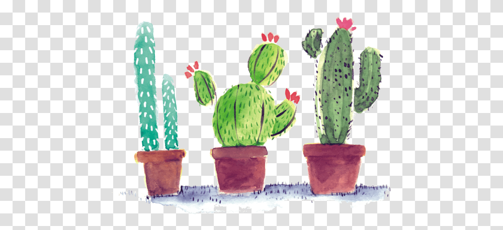 Watercolor Cactus In Pots, Plant Transparent Png