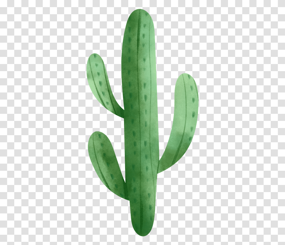 Watercolor Cactus Photos By Canva And Prickles, Plant, Aloe Transparent Png