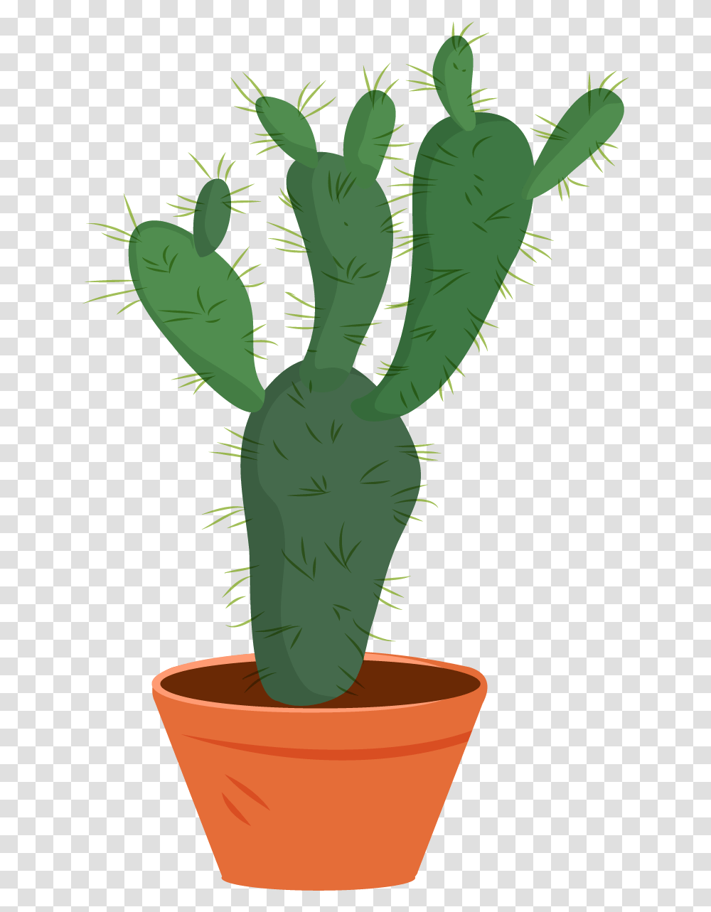 Watercolor Cactus, Plant Transparent Png