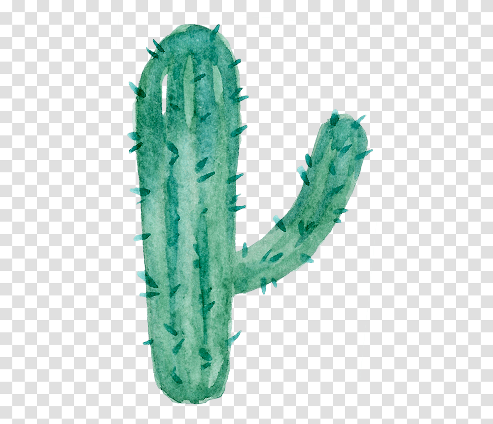 Watercolor Cactus Shape Acanthocereus Tetragonus, Plant Transparent Png