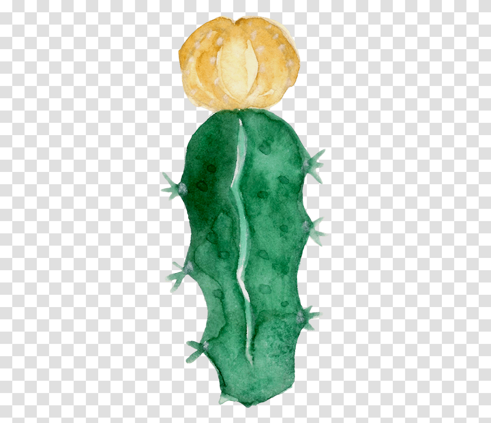 Watercolor Cactus Shape Eastern Prickly Pear, Plant, Cucumber, Vegetable, Food Transparent Png