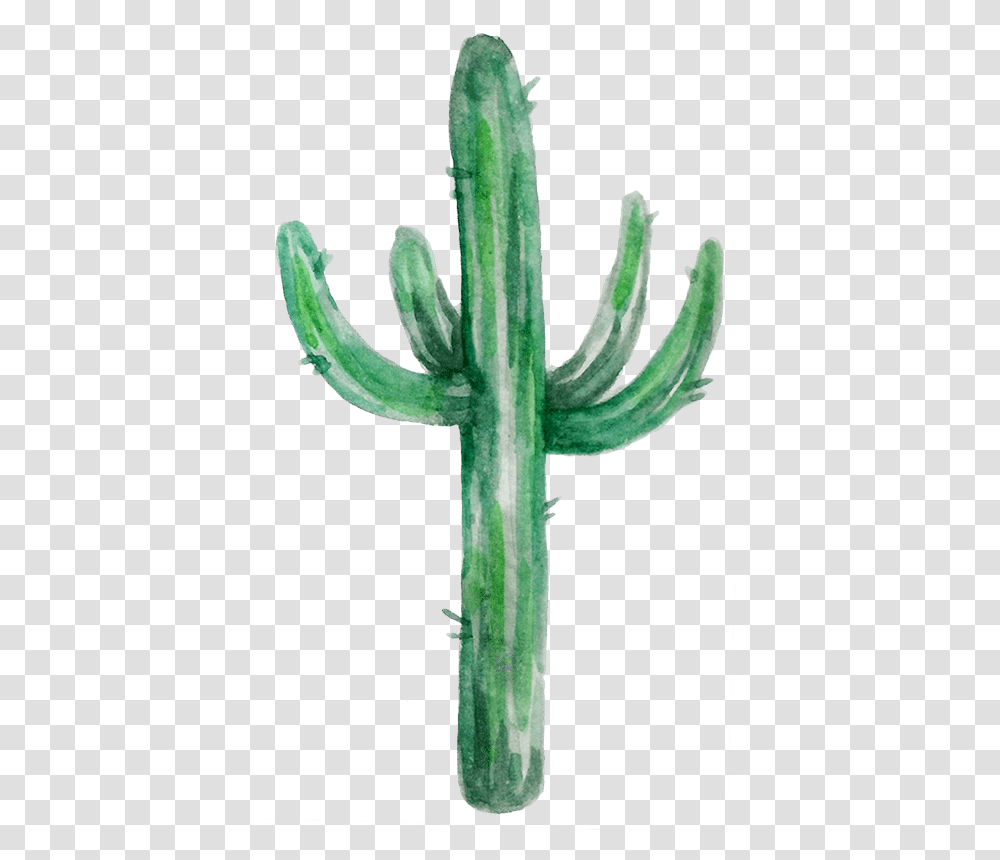 Watercolor Cactus Shape San Pedro Cactus, Cross, Symbol, Plant Transparent Png