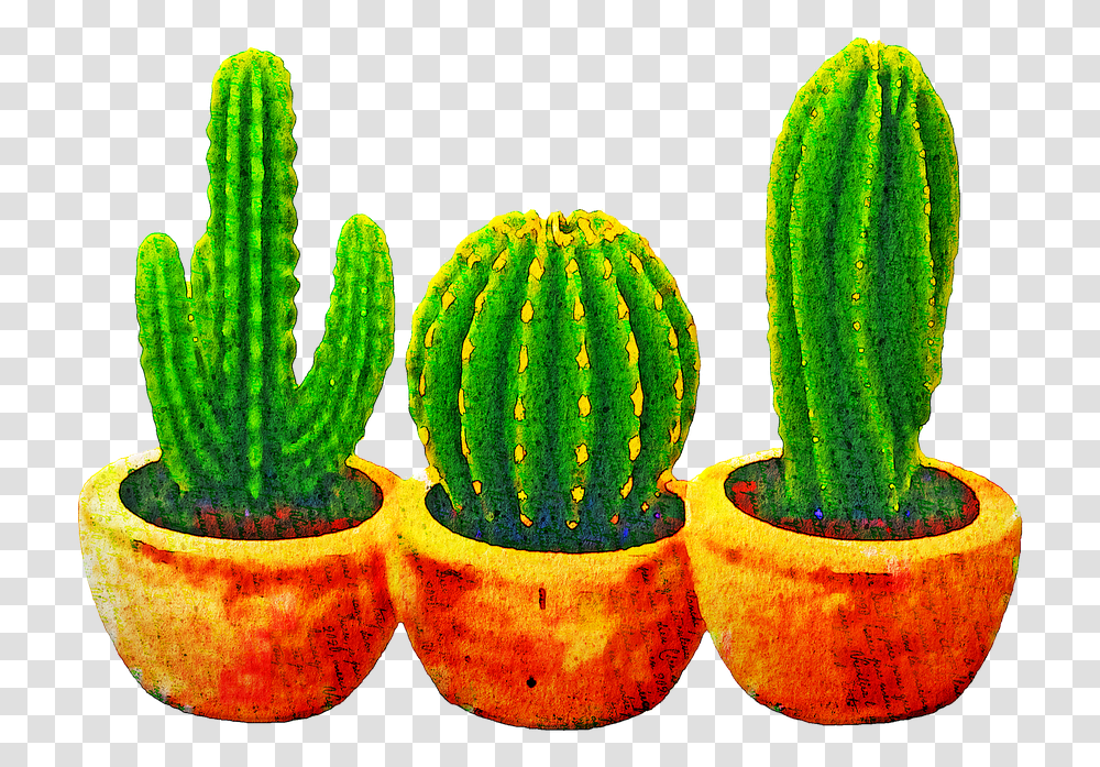 Watercolor Cactus Succulents Cacti Free Image On Pixabay Gambar Pohon Kaktus Animasi, Plant Transparent Png