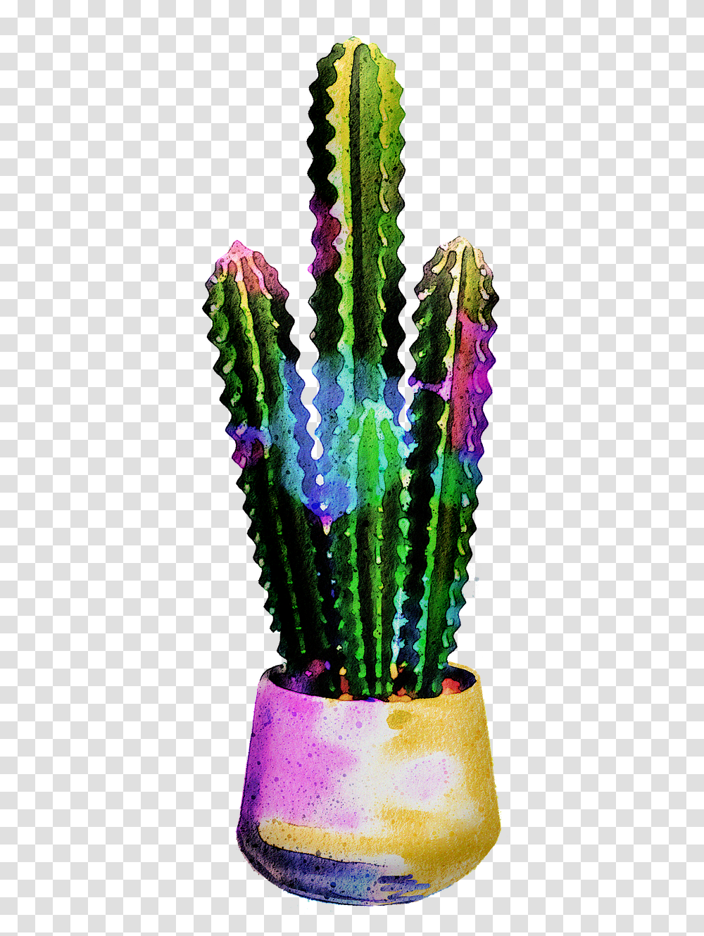 Watercolor Cactus Succulents Cacti Free Image On Pixabay Potted Cactus, Graphics, Art, Purple, Dye Transparent Png