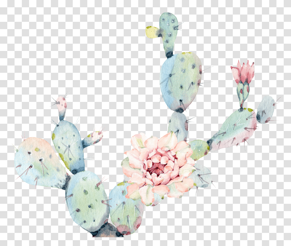 Watercolor Cactus Transparent Png