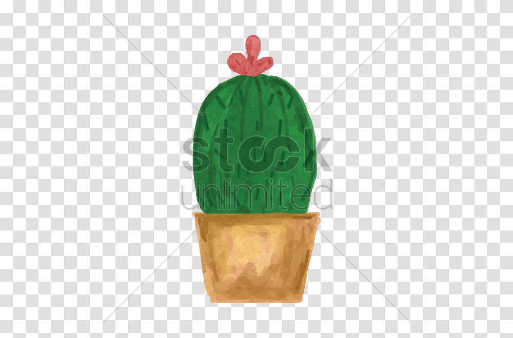 Watercolor Cactus Vector Image, Plant, Food, Watermelon, Fruit Transparent Png