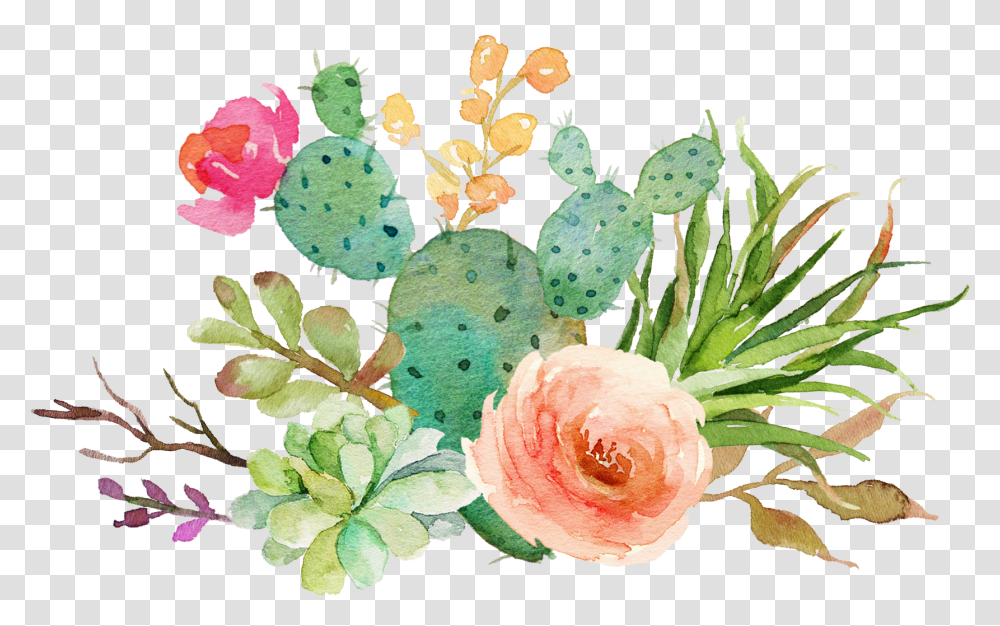 Watercolor Cactus Watercolor Cactus Clipart Free, Plant, Flower, Blossom, Rose Transparent Png