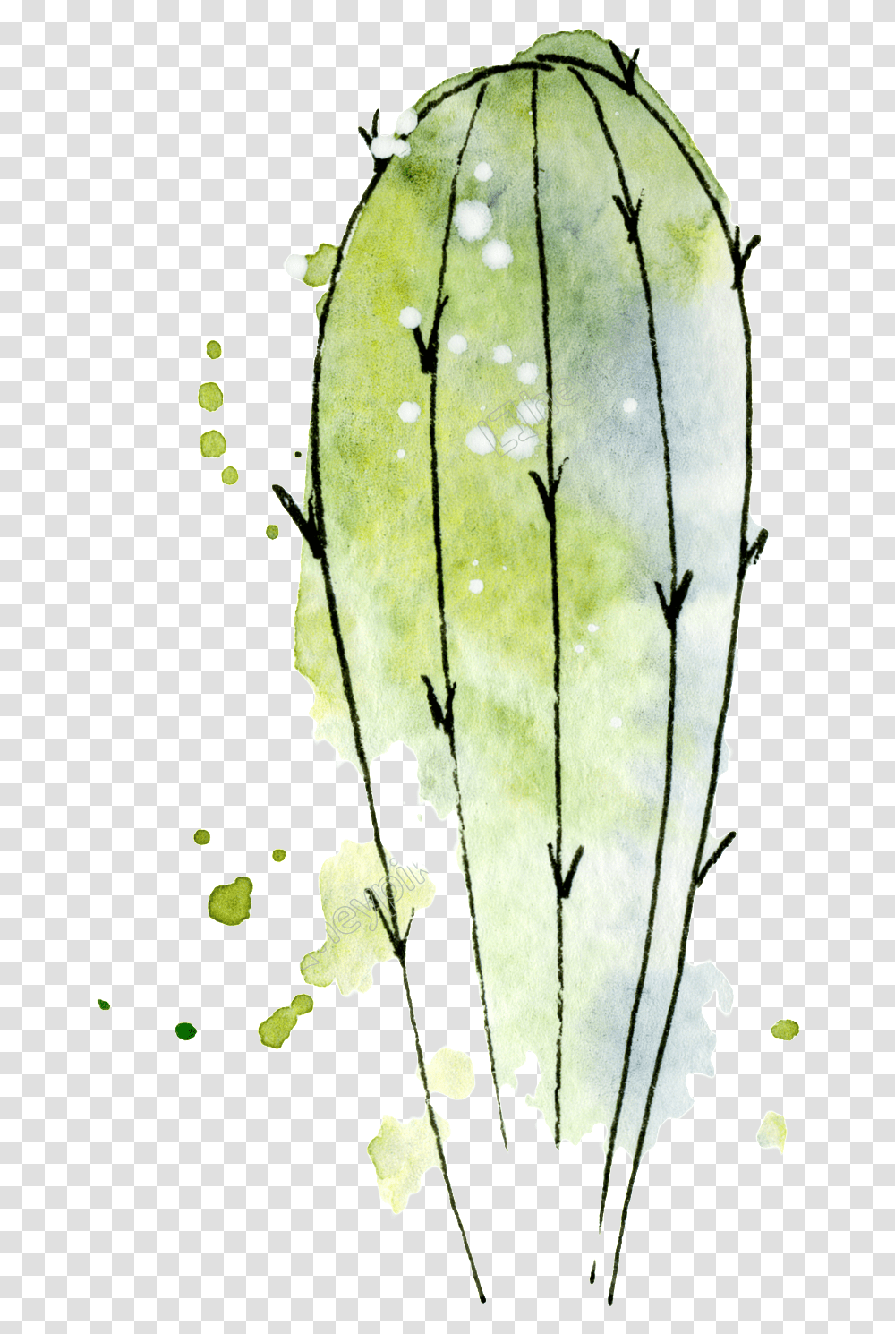 Watercolor Cactus Watercolor Cactus Icon, Plant, Leaf, Flower, Blossom Transparent Png