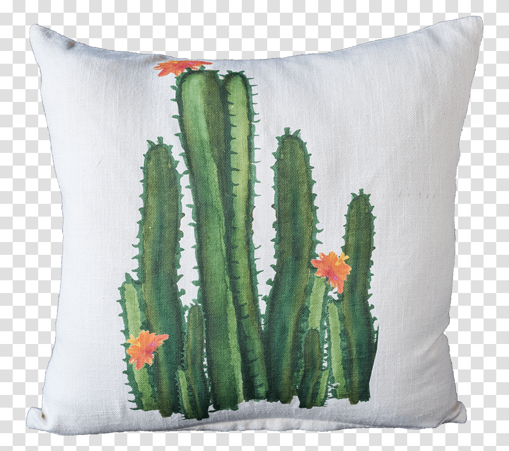 Watercolor Cactus Watercolor Tall Cacti Cushion Cushion, Pillow, Rug Transparent Png