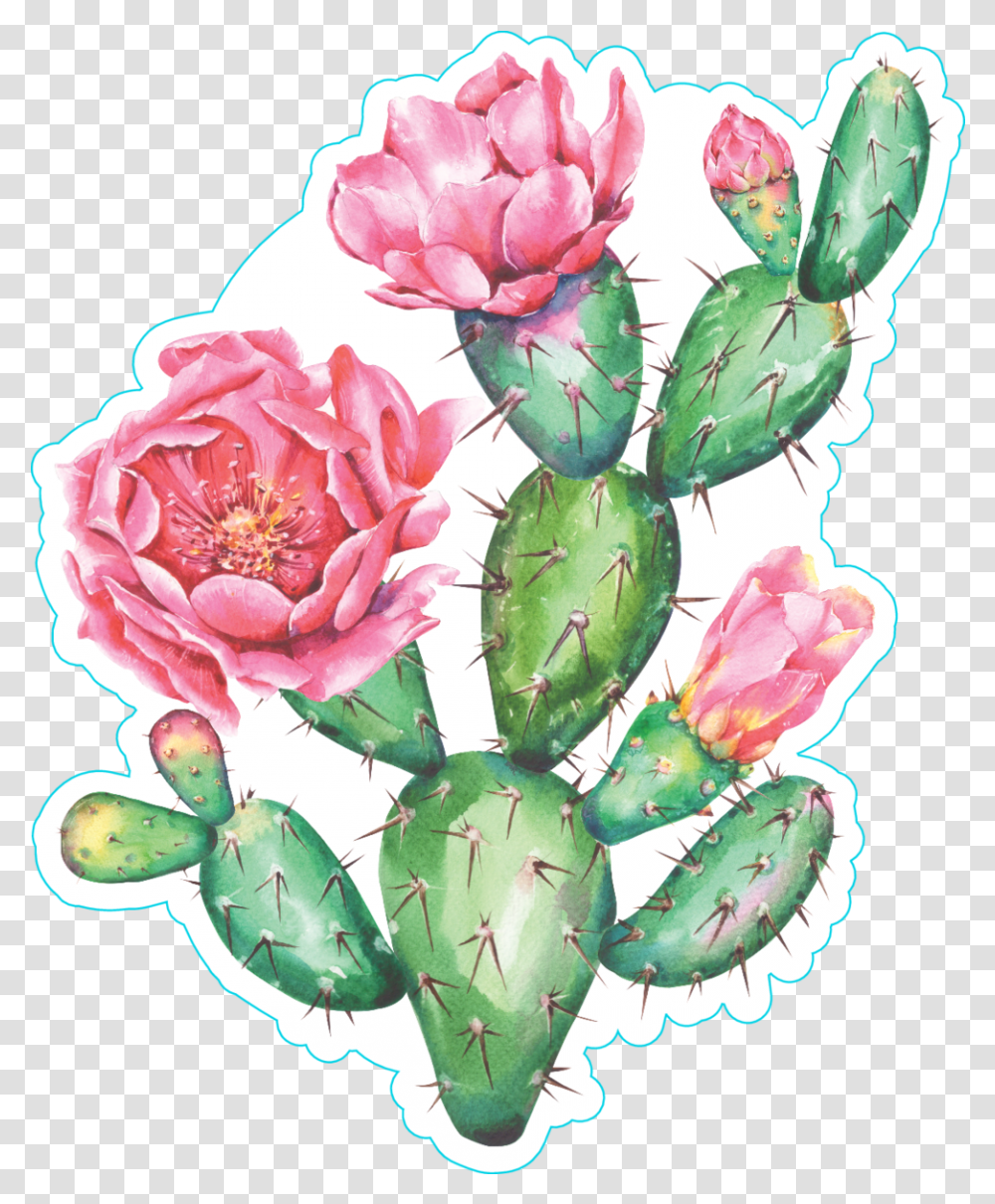 Watercolor Cactus With Beautiful Pink Watercolor Prickly Pear Cactus, Plant, Rose, Flower, Blossom Transparent Png
