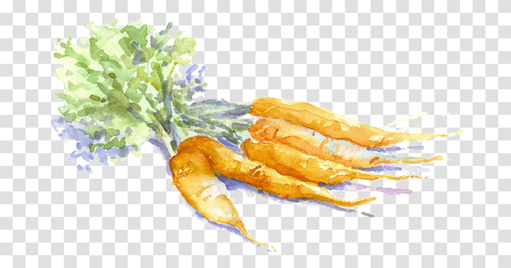 Watercolor Carrot Carrot Watercolor, Peel, Plant, Food, Produce Transparent Png