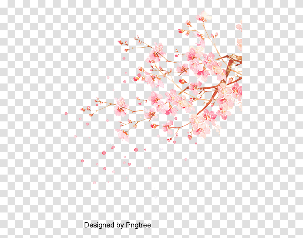 Watercolor Cherry Blossom Vector, Plant, Flower Transparent Png