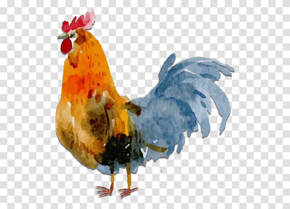 Watercolor Chicken Background, Poultry, Fowl, Bird, Animal Transparent Png