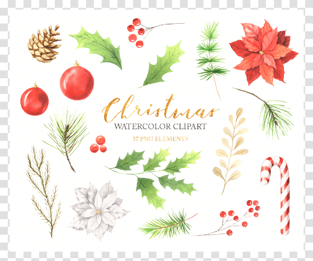Watercolor Christmas Floral Clipart Example Image Christmas Card, Plant, Potted Plant, Vase, Jar Transparent Png