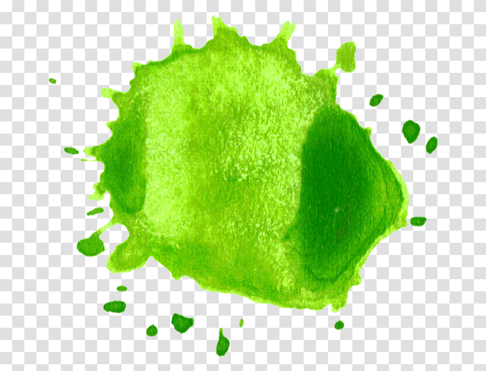 Watercolor Circle Drop Splatter Green, Plant, Leaf, Sweets, Food Transparent Png