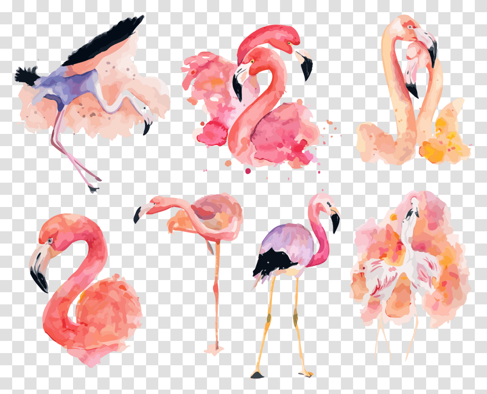 Watercolor Clipart Flamingo Pink Flamingo Flamingo Clipart Transparent Png