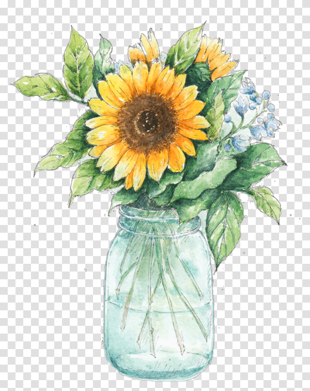 Watercolor Clipart Free 50 Photos Vase Of Sunflowers, Plant, Blossom, Flower Arrangement, Flower Bouquet Transparent Png