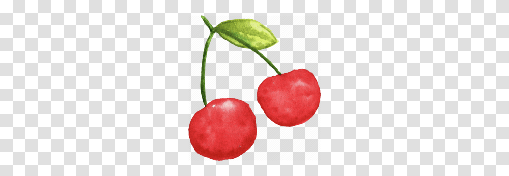 Watercolor Clipart, Plant, Fruit, Food, Cherry Transparent Png