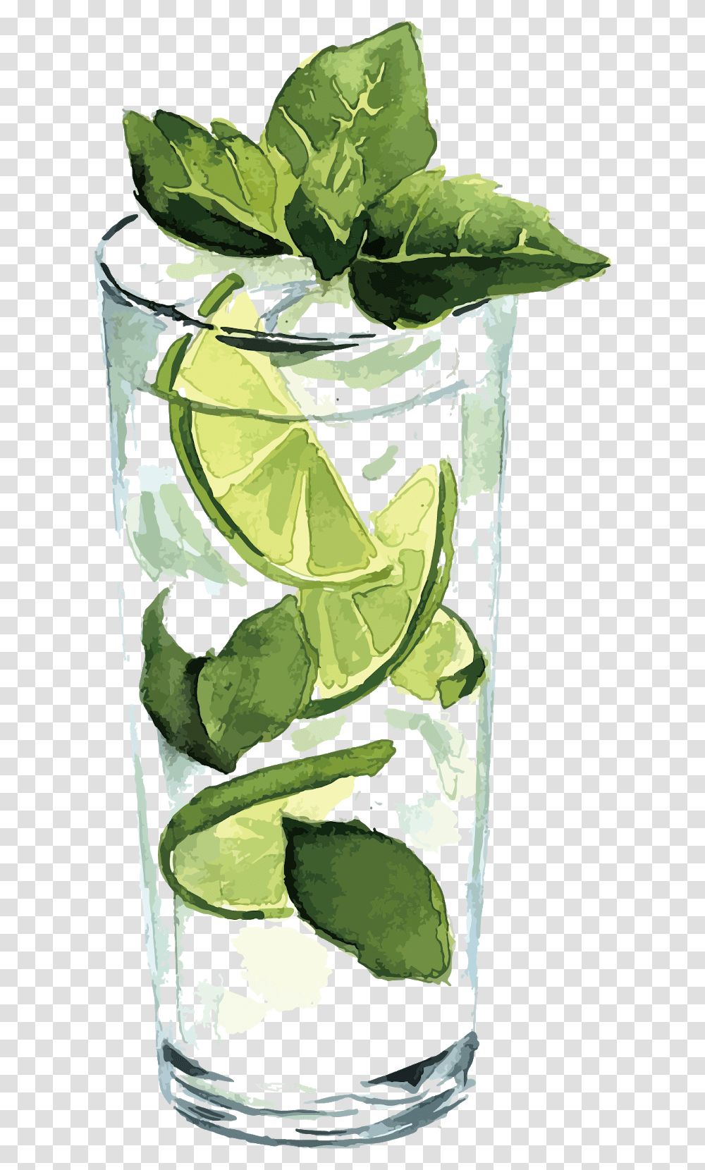 Watercolor Cocktail, Plant, Animal, Food Transparent Png