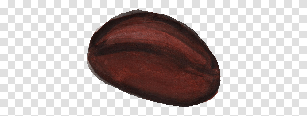 Watercolor Coffee Bean Onlygfxcom Baltic Clam, Plant, Food, Vegetable, Produce Transparent Png